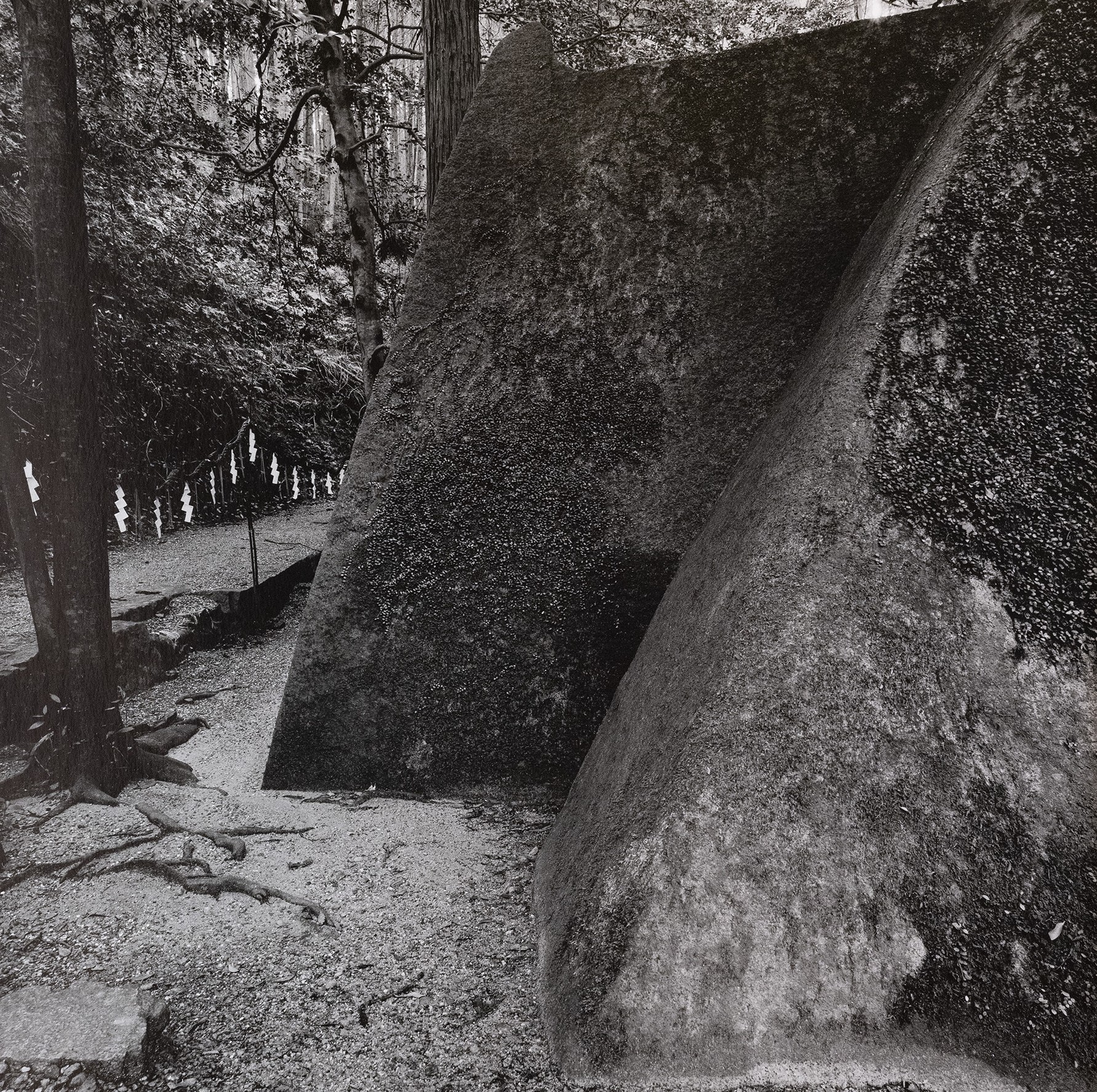 kenro izu mono no aware 2025