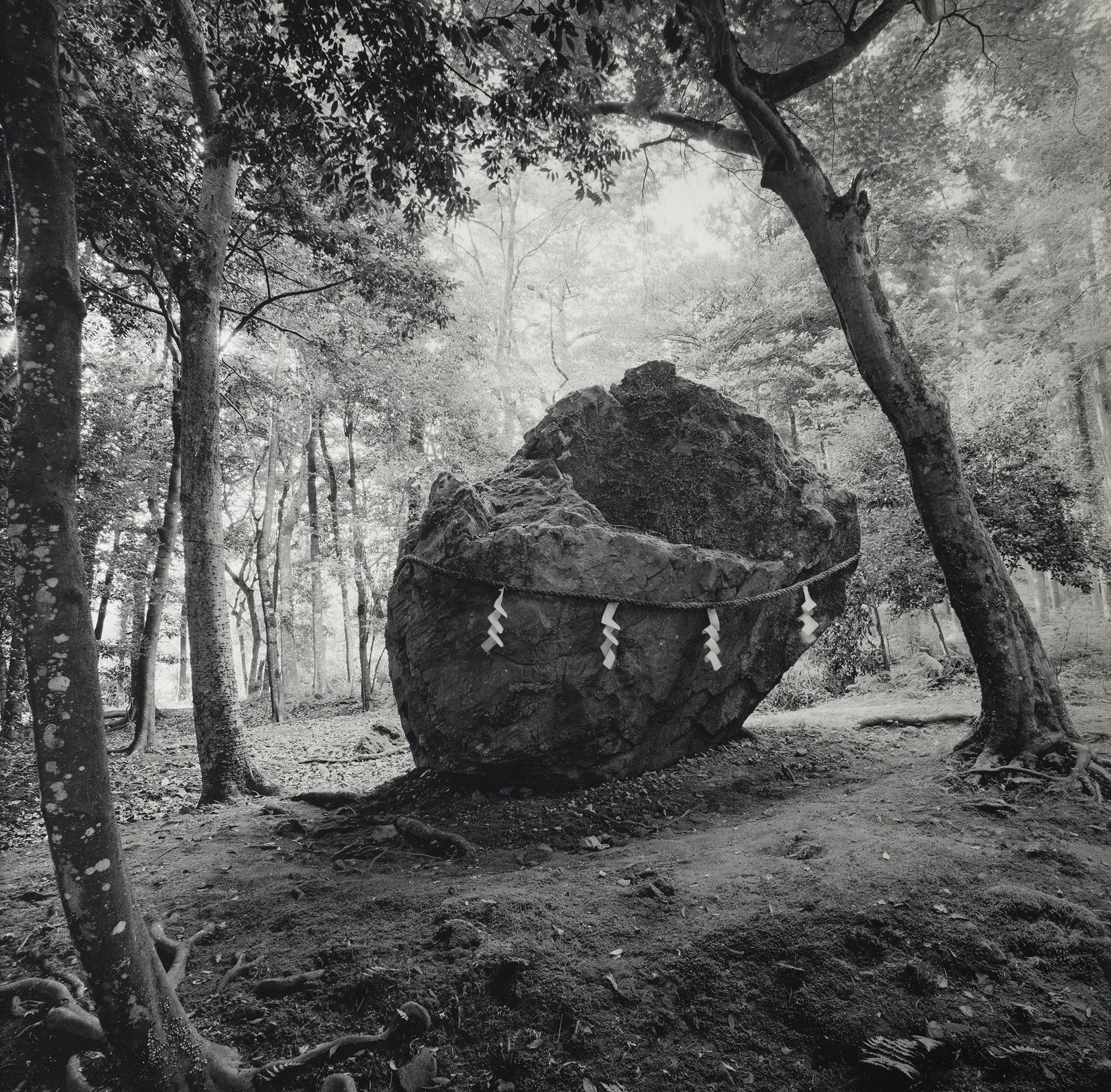 kenro izu mono no aware 2025