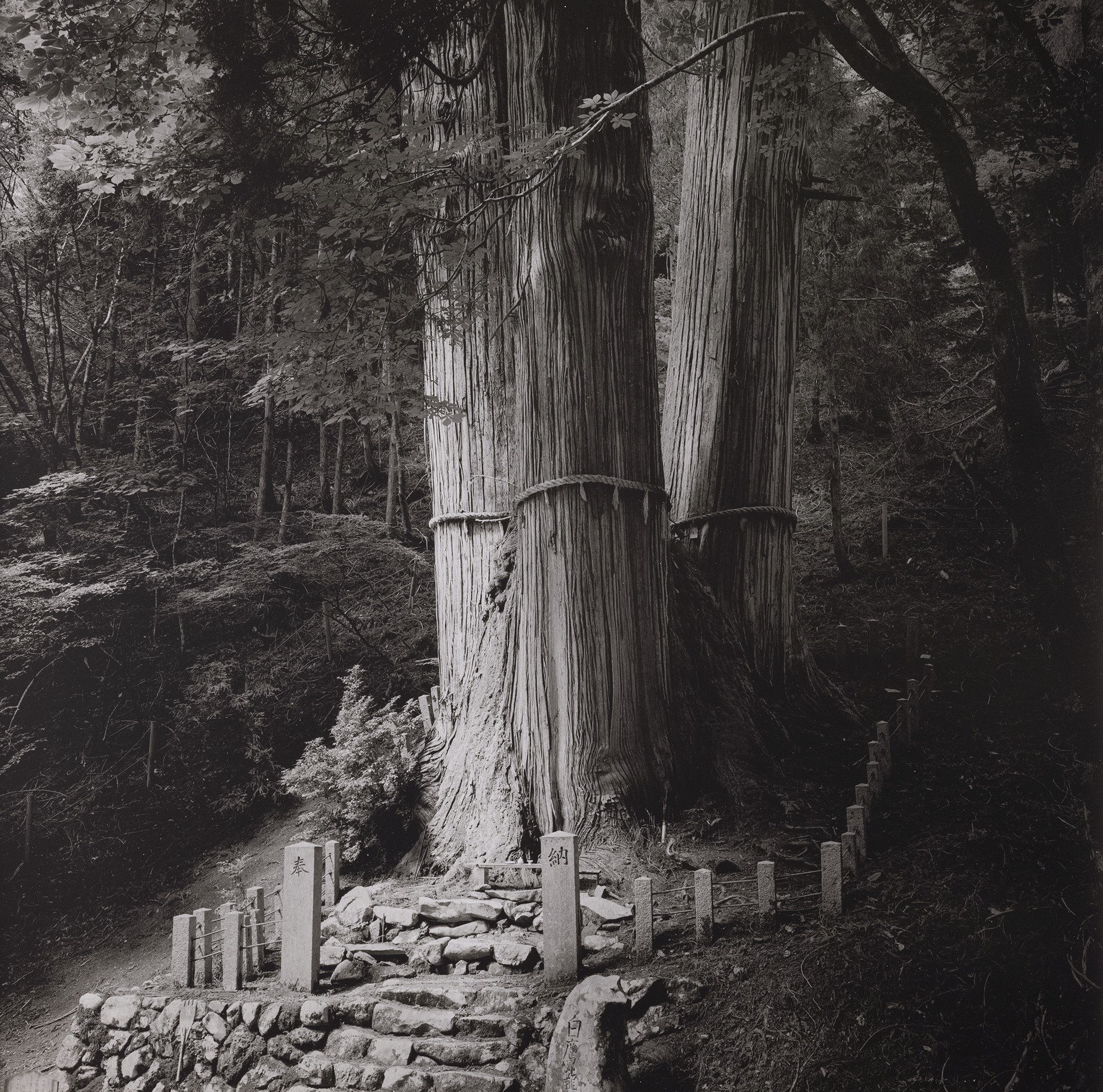 kenro izu mono no aware 2025