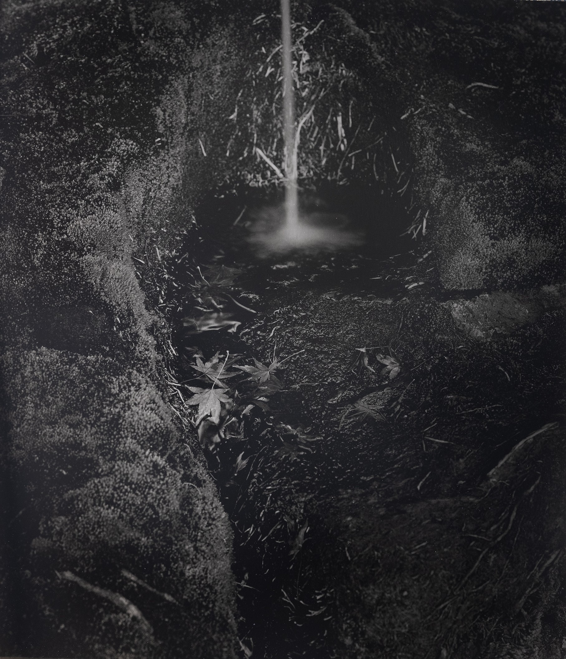 kenro izu mono no aware 2025