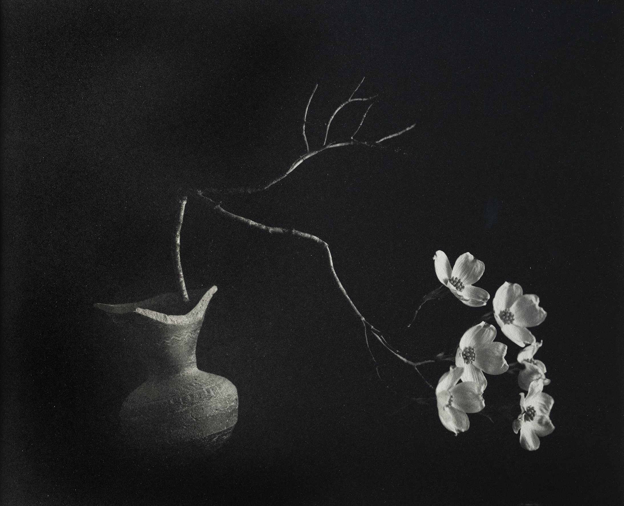 kenro izu mono no aware 2025