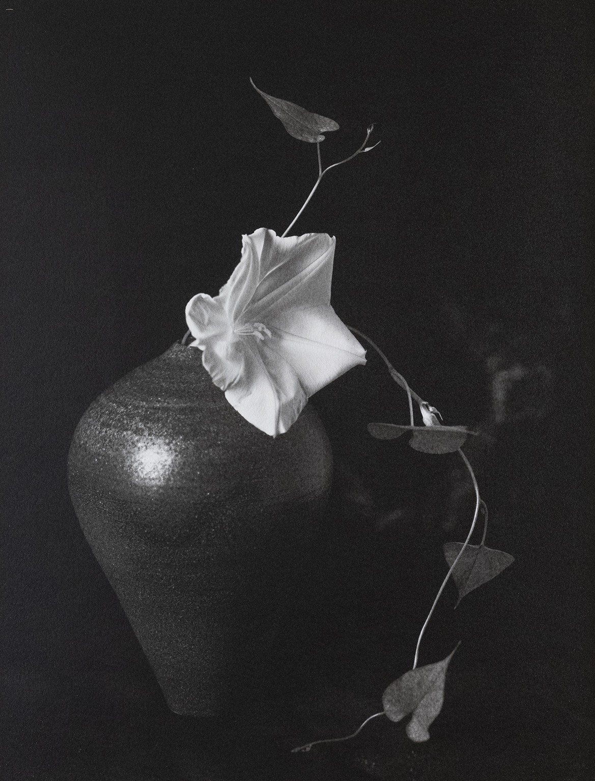 kenro izu mono no aware 2025