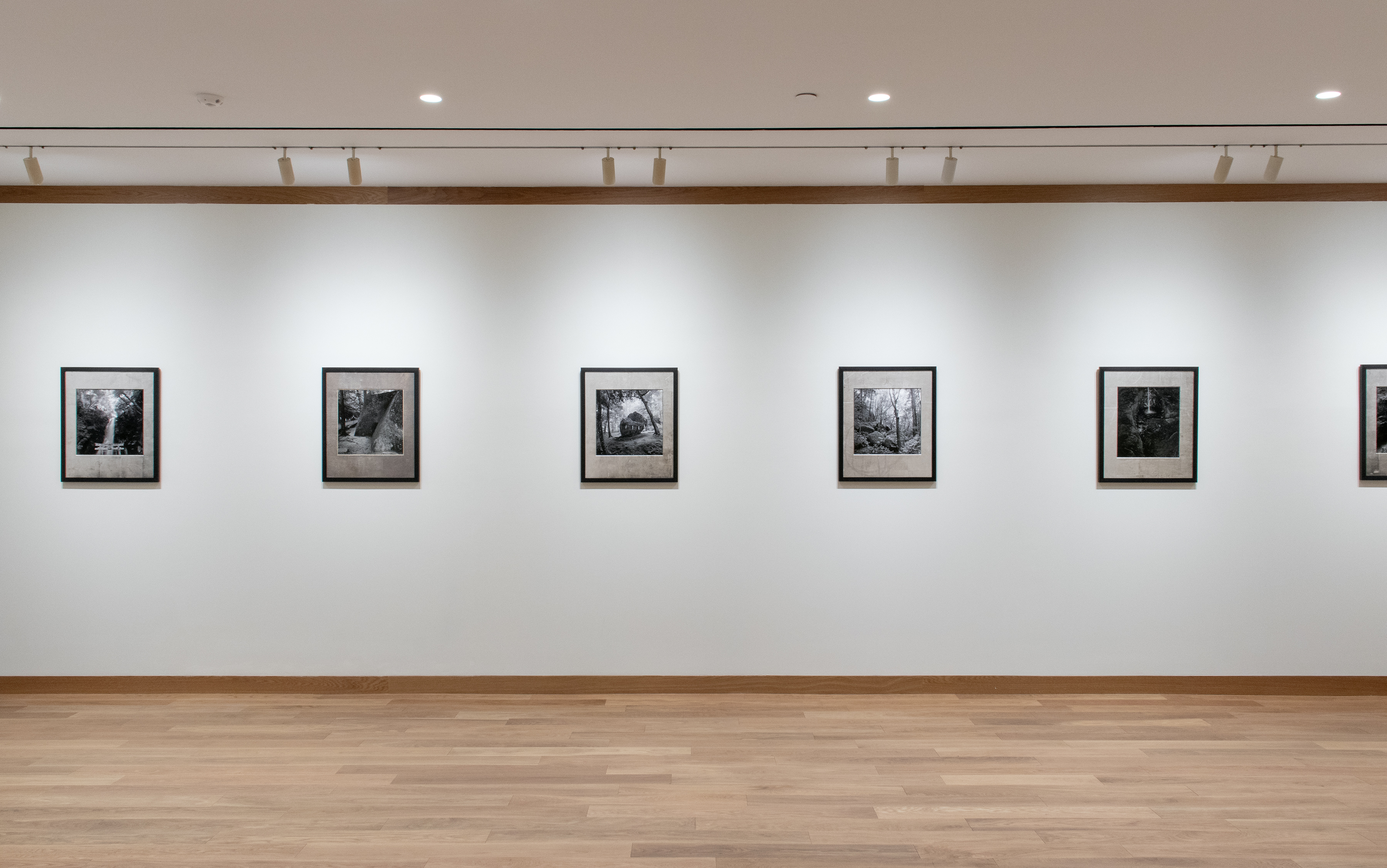 kenro izu mono no aware 2025