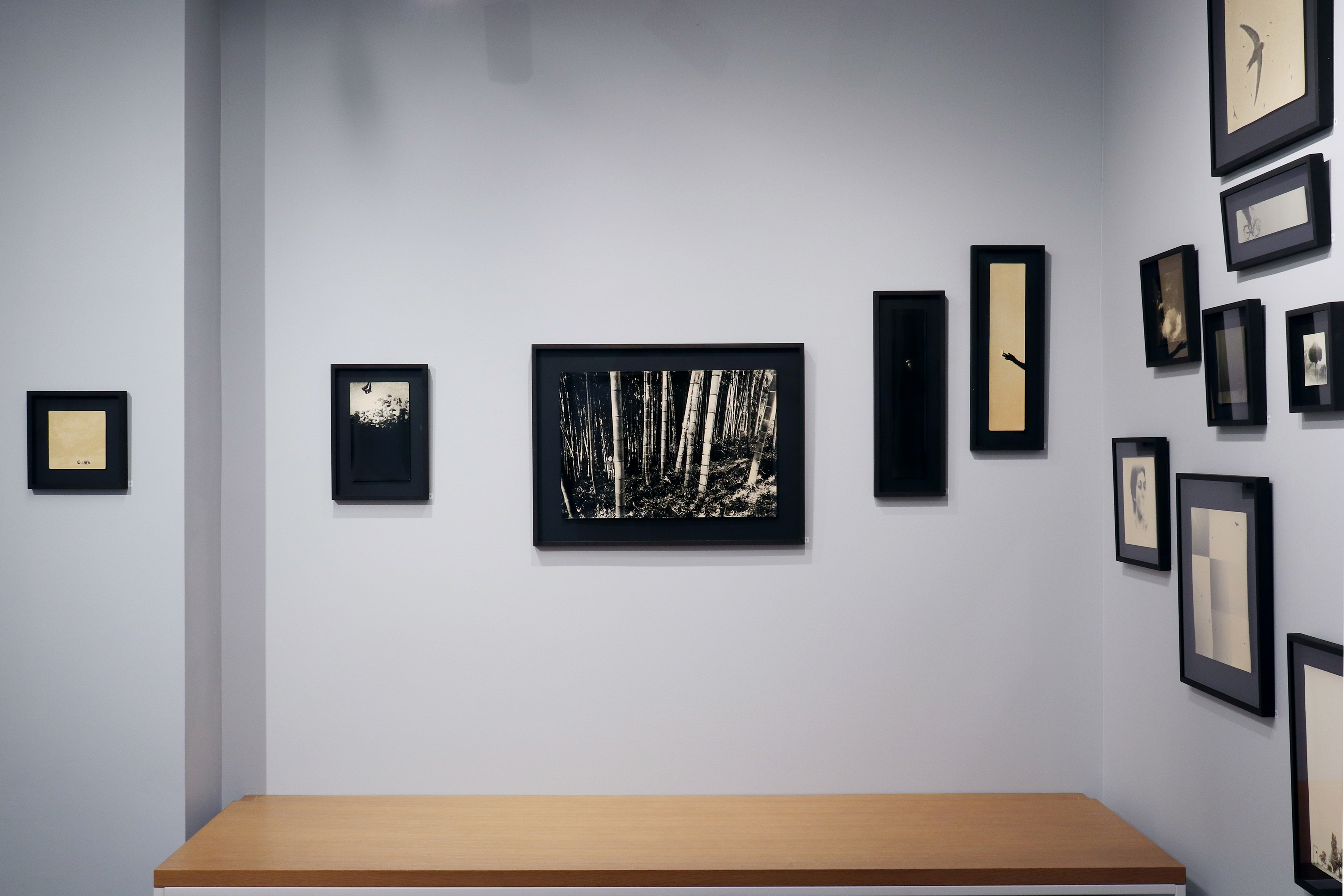 miho kajioka viewing room howard greenberg gallery 2023